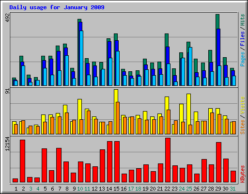 Daily usage for January 2009