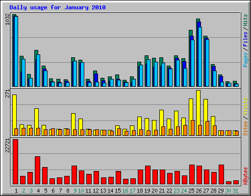 Daily usage for January 2010