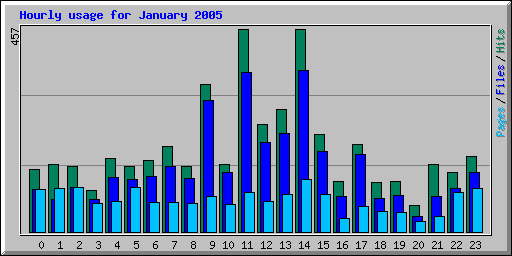 Hourly usage for January 2005