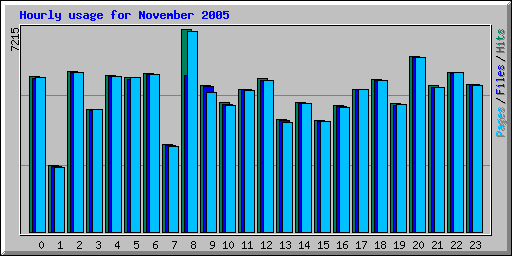 Hourly usage for November 2005