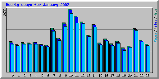 Hourly usage for January 2007