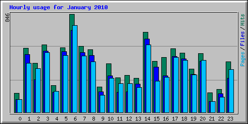 Hourly usage for January 2010